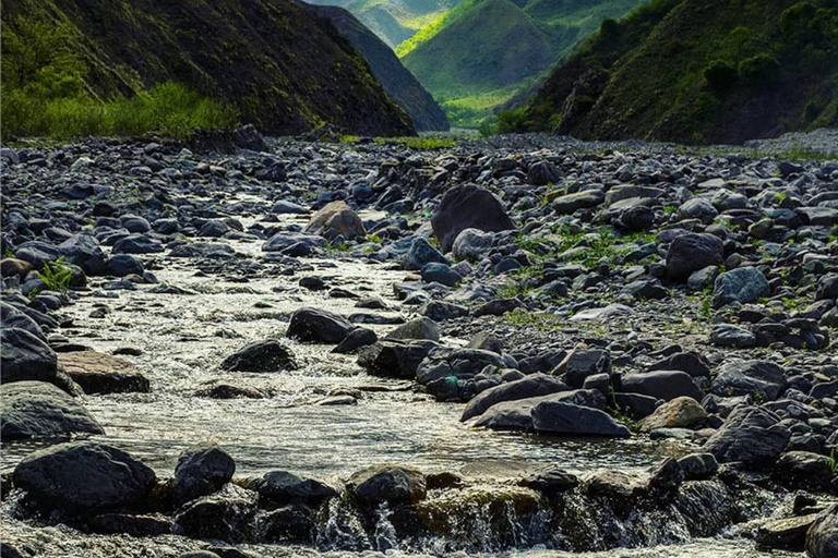 From Jujuy: Termas de Reyes and Yala Reserve Day Trip