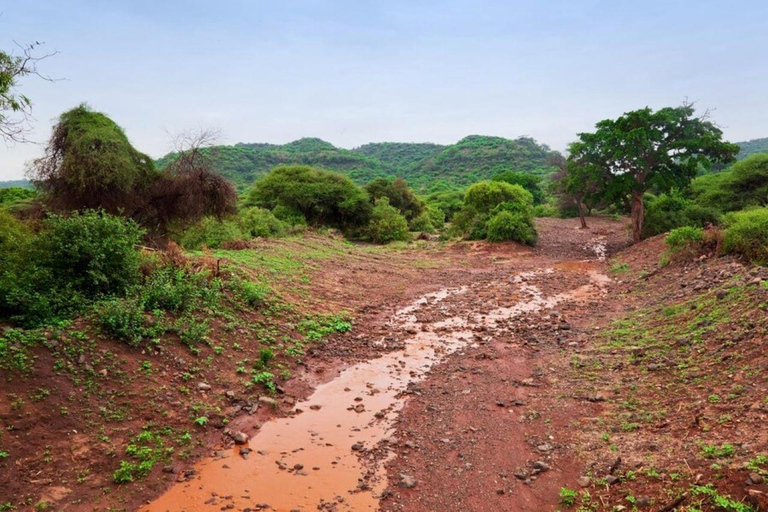 Safari di 5 giorni a Tsavo Est/Ovest e Amboseli da Mombasa