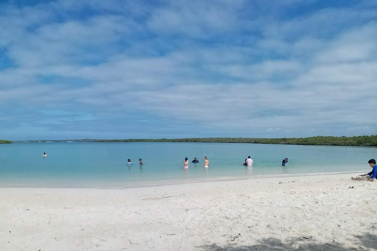 Excursión de 4 días por tierra a GalápagosExcursión de 4 días a Galápagos Tierra