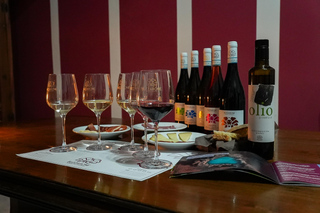 Discover Abruzzo and Castelferrato: Visit Vineyards and Wine Tasting