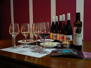 Visit to the vineyards and wine tasting