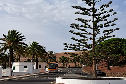 From Yaiza: Timanfaya Express Tour with No Queues