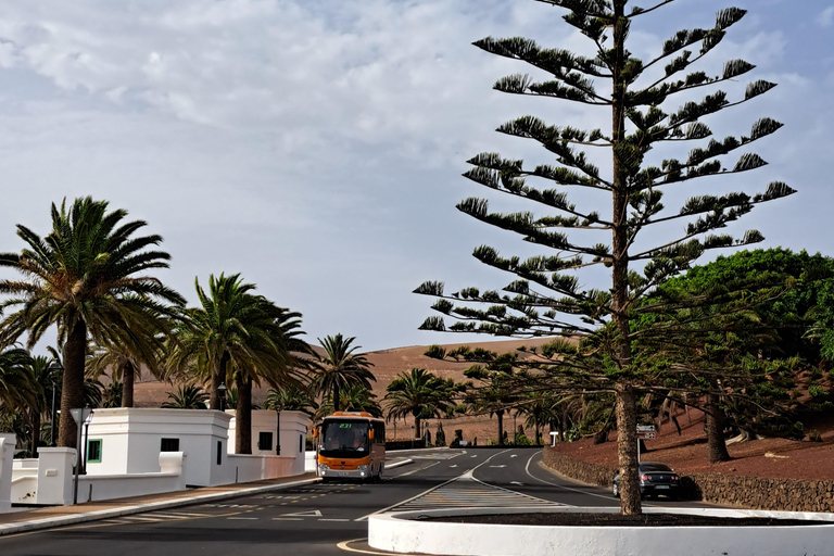 From Yaiza: Timanfaya Express Tour with No Queues