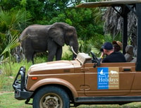 Da Zanzibar, Safari Best Day Selous con voli e pranzo - Housity