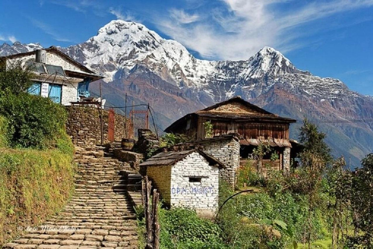 Discover Ghandruk &amp; PoonHill Circuit 3-Day Trek from PokharaVisite privée avec repas inclus