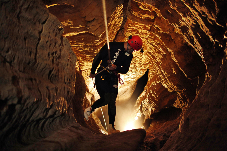 Från Auckland: Waitomo Caves Black Abyss Adventure Tour