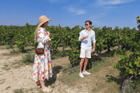 Tour del vino con degustazione e trasferimento - Housity