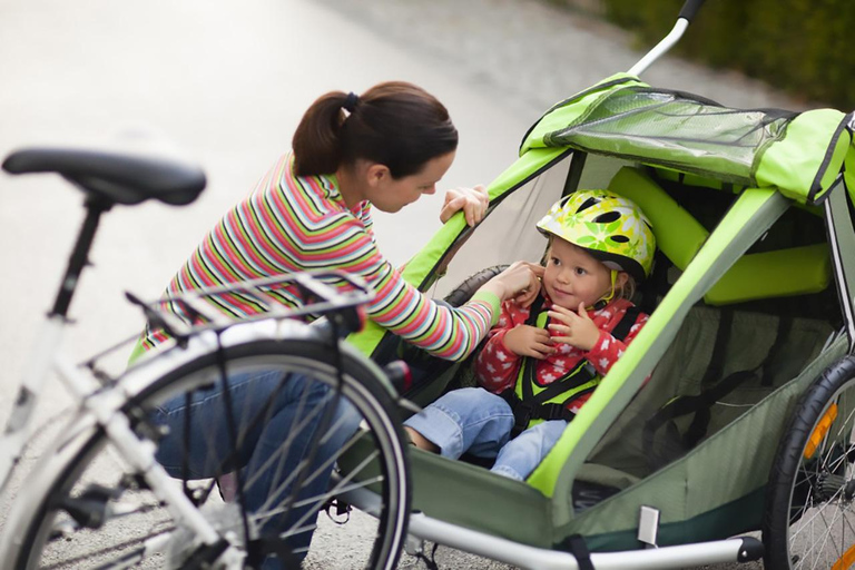 Full Day Family Bike Rental by Old Montreal & Lachine Canal
