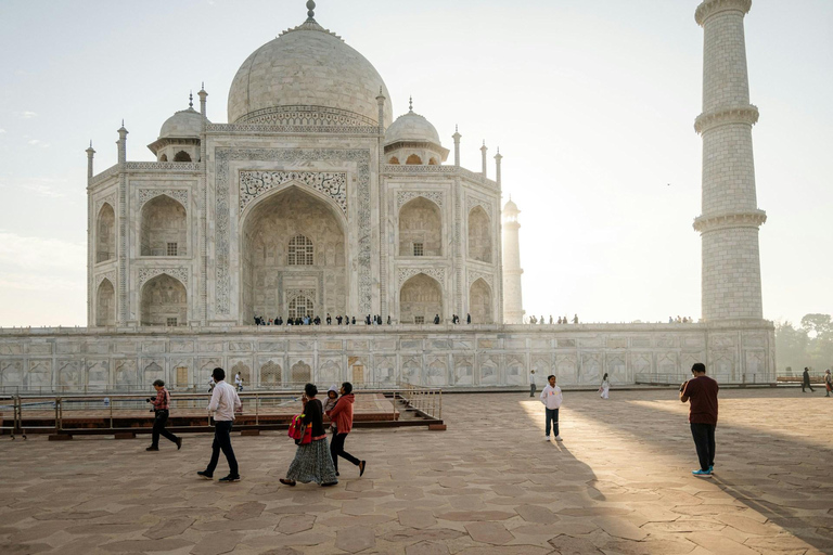 Desde Jaipur: Excursión Privada de un Día al Amanecer del Taj Mahal y el Fuerte de AgraConductor + Coche + Guía + Entrada + Comida