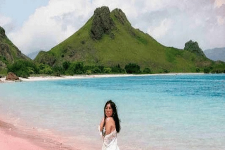 Lombok: 4-Day Komodo with Whale Sharks Private Cabin