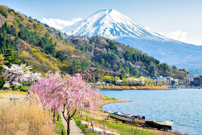 Mount Fuji, Oshino Hakkai & Outlet Onsen Day Tour From Tokyo Departure From Tokyo Station