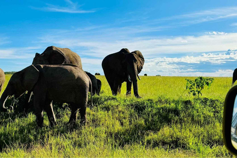 Nairobi:5Days Maasai Mara,Lake Nakuru &Naivasha Group Safari Accomodation Upgrade