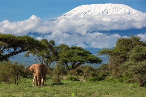 Kenya : Safari en camping de 6 jours en petit groupeKenya : Safari de 6 jours en camping à Amboseli, au lac Nakuru et à Mara