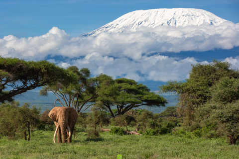 Kenya : Safari en camping de 6 jours en petit groupeKenya : Safari de 6 jours en camping à Amboseli, au lac Nakuru et à Mara