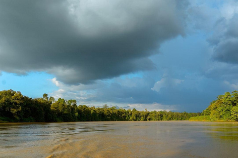 Sandakan: 2 Days 1 Night Bilit, Kinabatangan River Wildlife (Shared Tour) 2 Days At Bilit, Kinabatangan River Wildlife