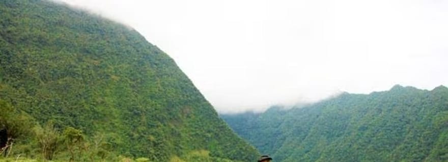 Réunion : Randonnée à cheval au Grand-Etang