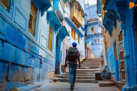 Noche de realeza: explora los palacios de Jodhpur y mucho más.Una noche de realeza: explora los palacios de Jodhpur y mucho más