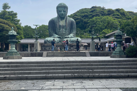 Tokio: Prywatna wycieczka z przewodnikiem z opcjonalną wycieczką nocną / barową