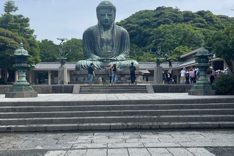 Tokio: Prywatna wycieczka z przewodnikiem z opcjonalną wycieczką nocną / barową