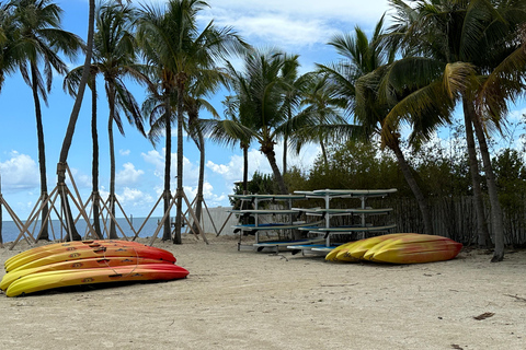 Key Largo: Mangrove Kayak Rental (Single or Double Kayaks)