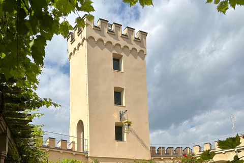 Koblenz - Castle Stolzenfels Private Tour