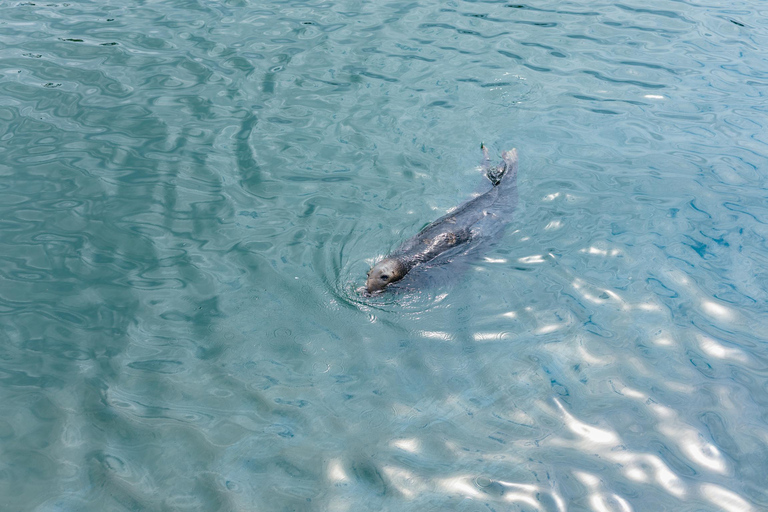 Dublin: Dublin Bay, Howth Coast and Ireland's Eye Boat Tour