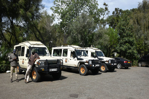 7-dniowe safari Kili Safari Amboseli, Naivasha i Masai Mara