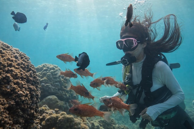 Honolulu: Beginner Scuba Diving Tour With Free Videos