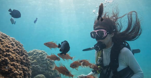 Honolulu: Beginner Scuba Diving Tour With Free Videos