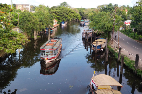 Alleppey: Backwater-Kreuzfahrt mit Shikkara