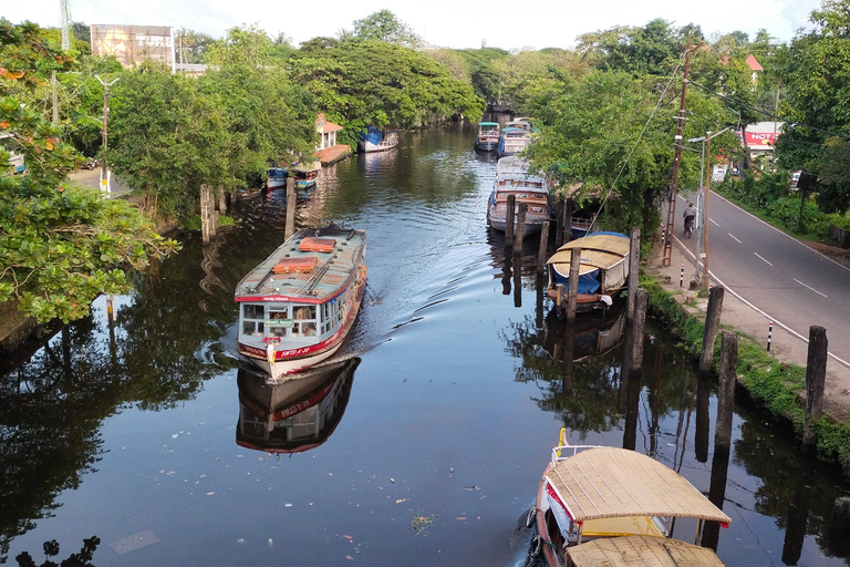 Alleppey: Backwater-kryssning i Shikkara