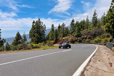 South Tenerife: Off-the-beaten-track buggy adventure South Tenerife: Full-Day Self-Drive Buggy Experience