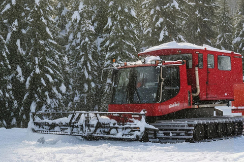 Whistler: Holiday Sleigh Ride