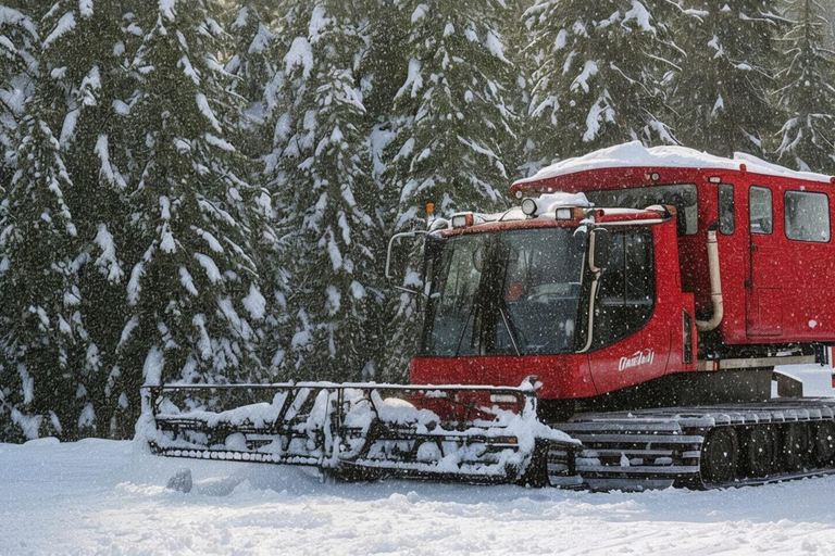 Whistler: Holiday Sleigh Ride