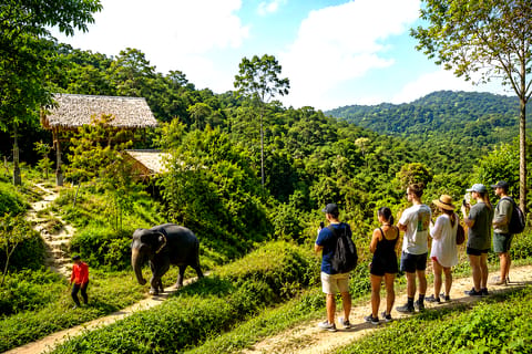 Phuket:(Save 20%) Patong Elephant Ethical Sanctuary Tour - Image 2