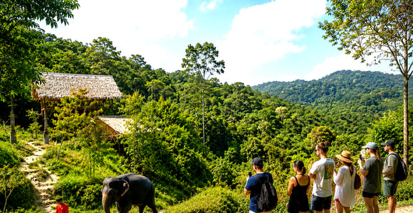 Phuket:(Save 20%) Patong Elephant Ethical Sanctuary Tour