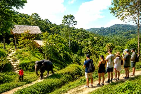 Phuket:(Save 20%) Patong Elephant Ethical Sanctuary Tour - Image 3