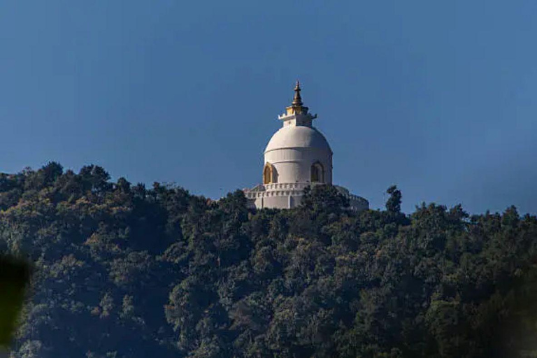 Pokhara: Queen Forest Hike to Santi Stupa & Lake Boating