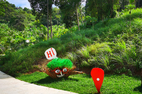 Phuket: Biglietto d'ingresso per l'altalena Rock Beach