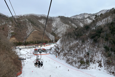 Seoul: Elysian Ski Resort One Day TourDeparting from Hongik Univ. Station Exit 8 - Sled