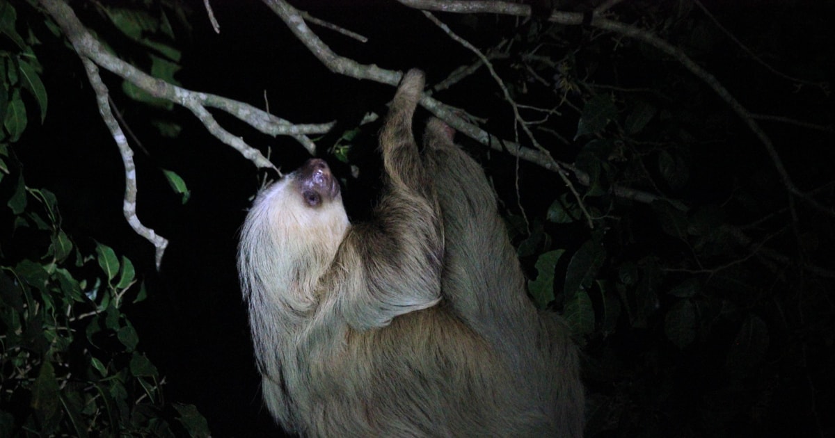 night walk tour la fortuna