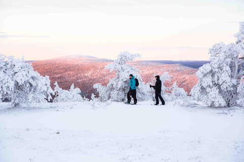 Levi: Aventura guiada com raquetes de neve