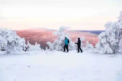 Levi: Aventura guiada con raquetas de nieve