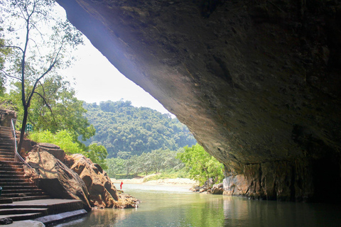 Half-Day Phong Nha Cave Adventure by Dragon Boat Pickup in Phong Nha and drop-off in Hue