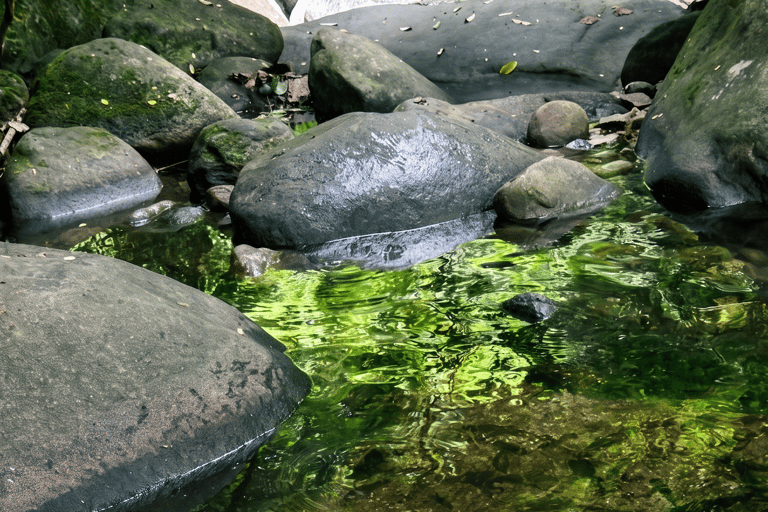 Pattaya: Waterfall Swim, Cave River and Naga Temple Day Trip