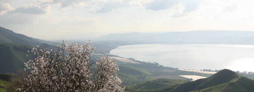 Au départ de Tel Aviv : Magdala, Mont des Béatitudes et Cana