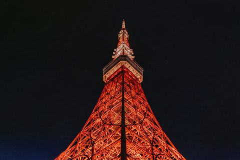 Tokyo City Customizable Guided Tour in Luxury Private Car Tokyo Custom Tour: Private Vehicle & English-Speaking (5)