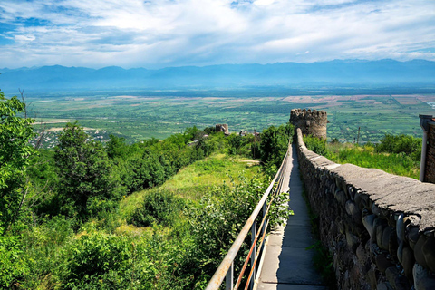From Tbilisi: Kakheti Wine & Culture Day Tour with Tastings
