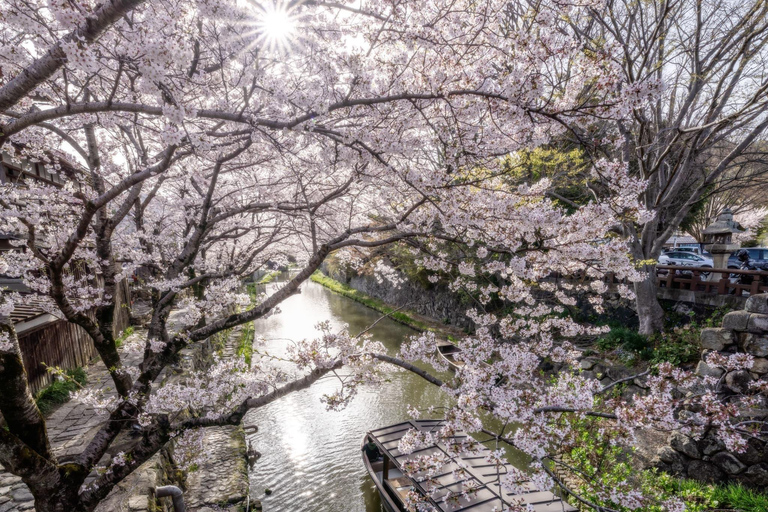 From Kyoto: Lake Biwa & Omi Hachiman Private Day Trip
