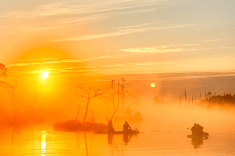 From Riga: Sunrise SUP Tour with Pick-Up at Cenas Tīrelis
